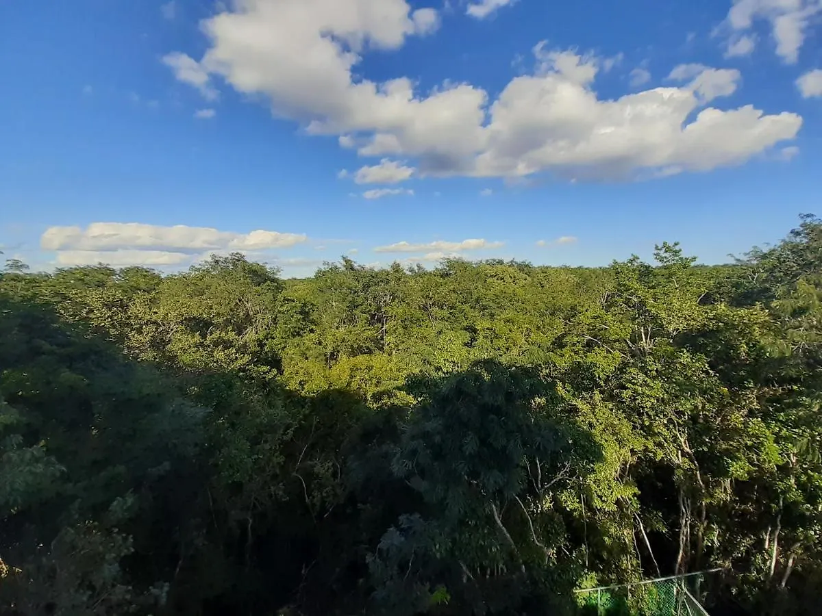 Homestay The Jungle Side Apartment Puerto Aventuras