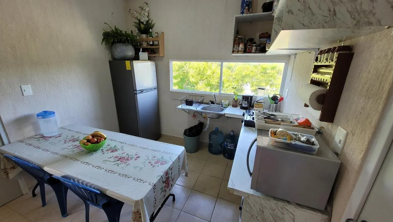 Homestay The Jungle Side Apartment Puerto Aventuras Mexico