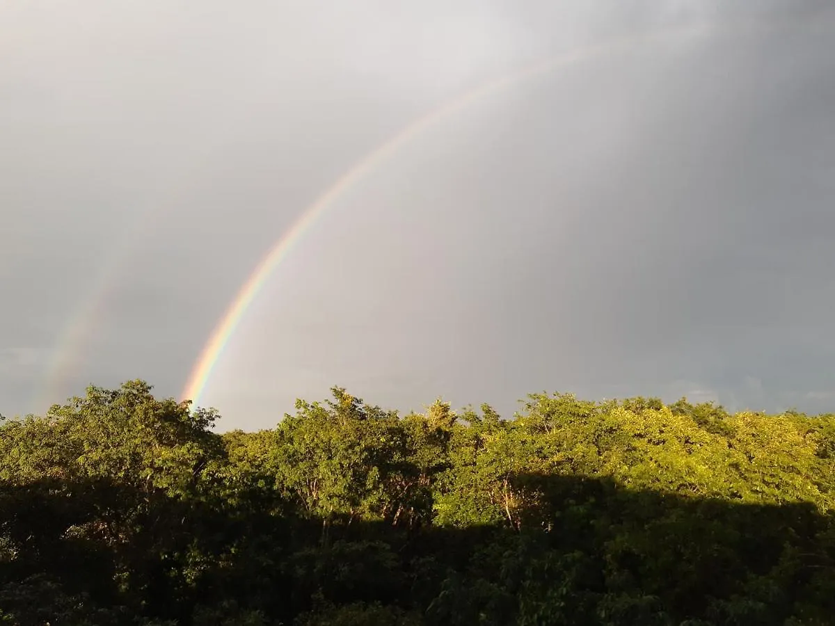 Rum i privatbostad The Jungle Side Apartment Puerto Aventuras